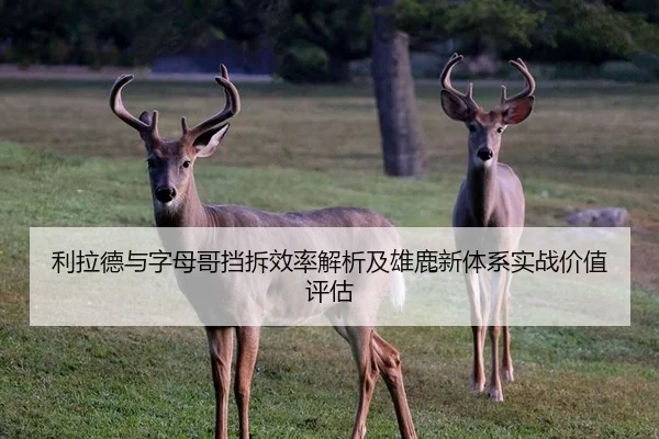利拉德与字母哥挡拆效率解析及雄鹿新体系实战价值评估